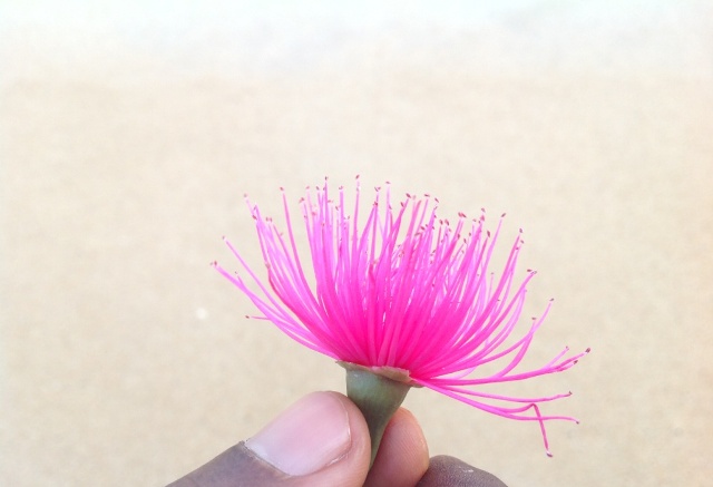 Article : Journée internationale des femmes, à toutes…